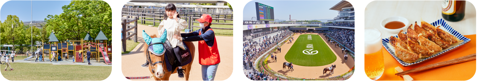 京都競馬場のスライド