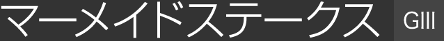 }[ChXe[NXiGⅢj