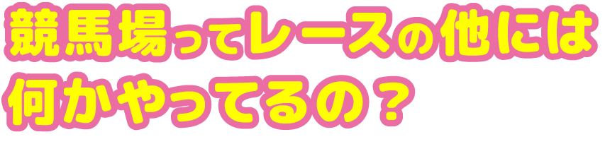 競馬場ってレースの他には何かやってるの？