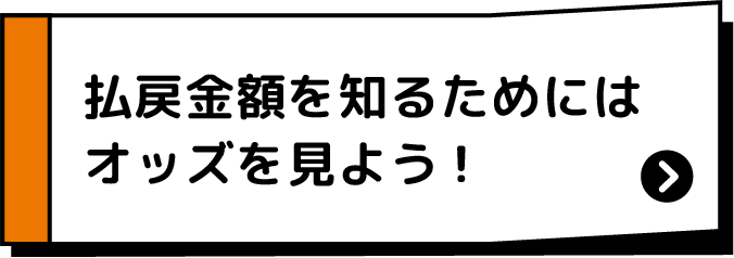 払戻金額を知るためにはオッズを見よう!