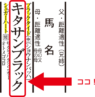 このレースの出走馬は？