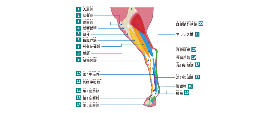 ㎈riO猩j̋ؓEF C[W